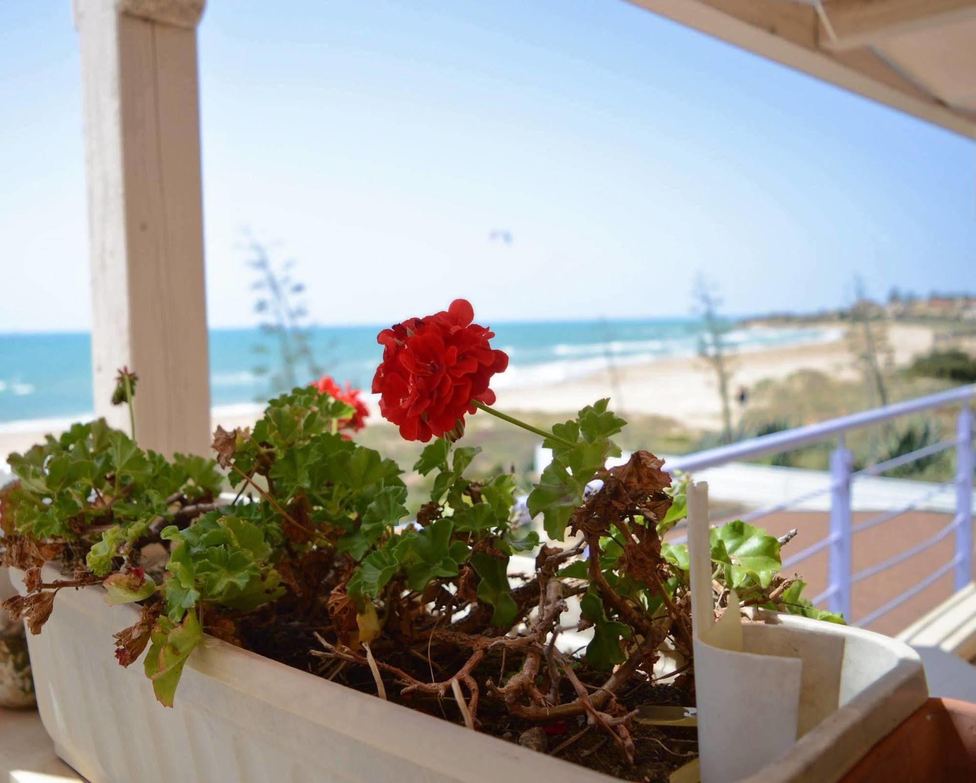 Mar & Sol Hotel